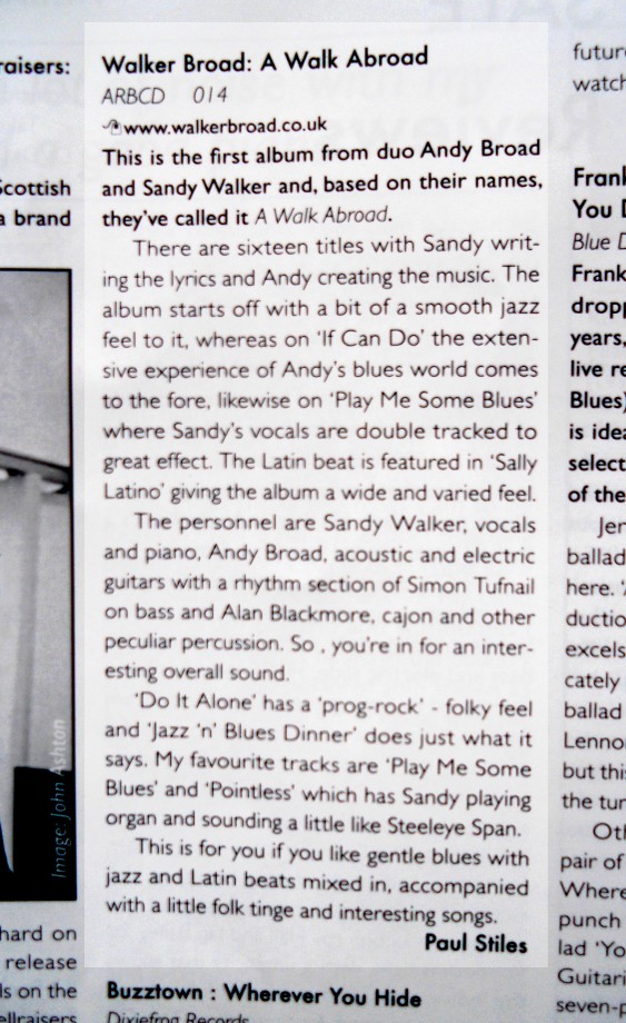 Blues In Britain Review
